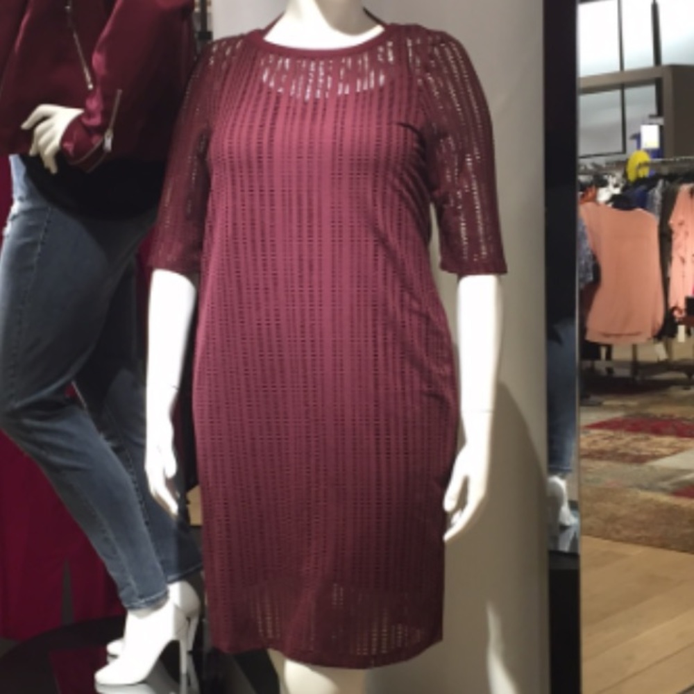 Rebel by Rebel Wilson x Angels Burgundy Dress